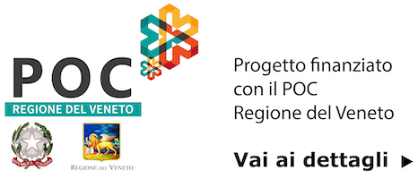 Contributo POC 3.3.4 D 2020